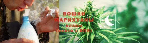 гашик Верея