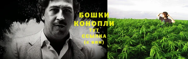 гашик Верея