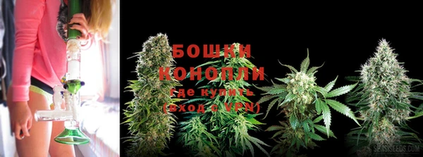 гашик Верея