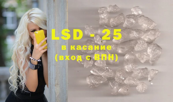 гашик Верея