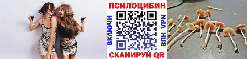 Галлюциногенные грибы Psilocybe Малаховка